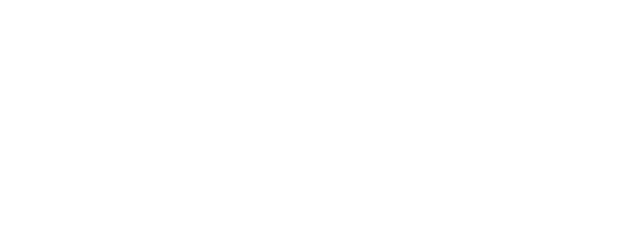 Trustworthy IT